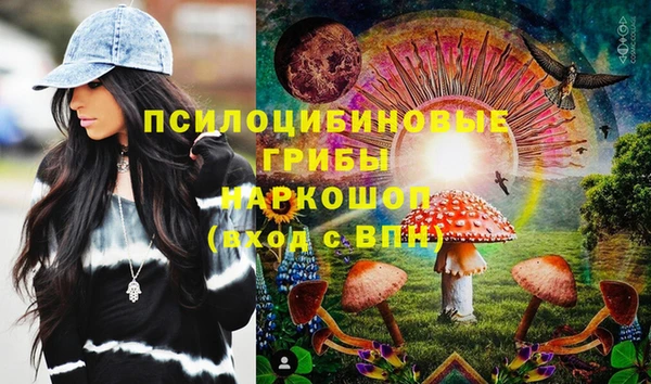 стафф Кулебаки