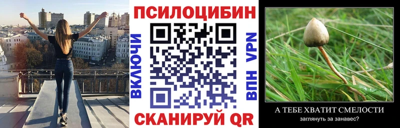что такое   Полысаево  мега tor  Псилоцибиновые грибы Cubensis 