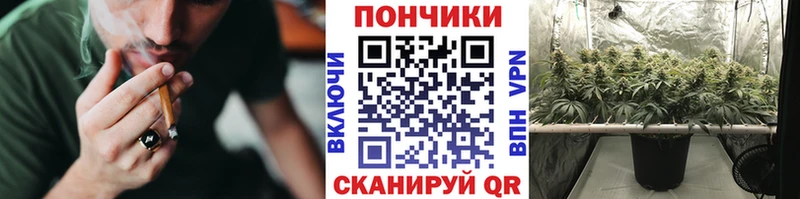 Конопля конопля Полысаево